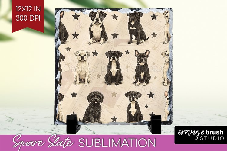 Dogs Png Image 24