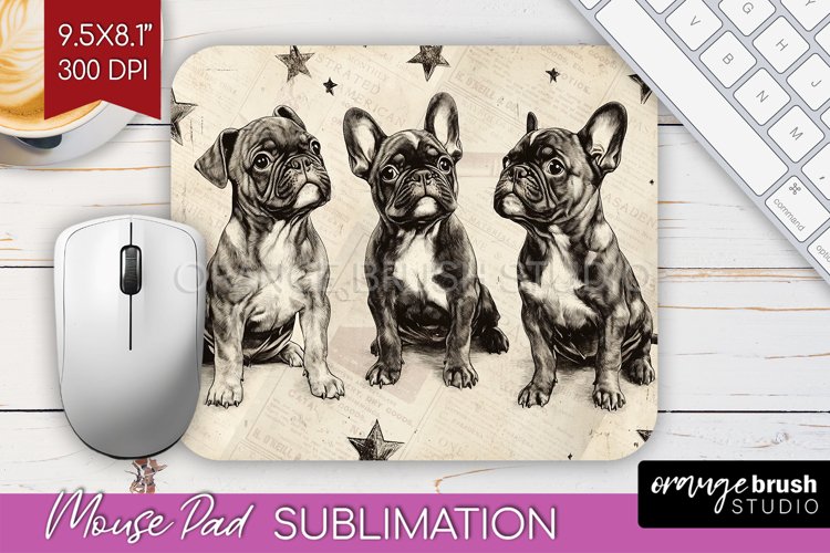 Dogs Png Image 7