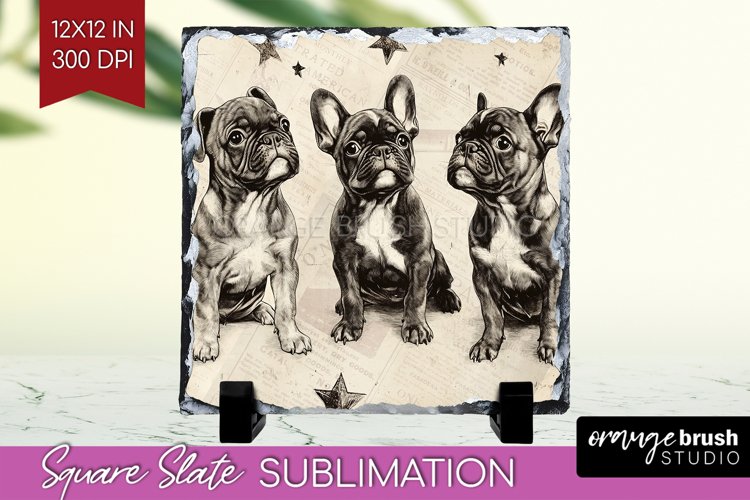 Dogs Png Image 23