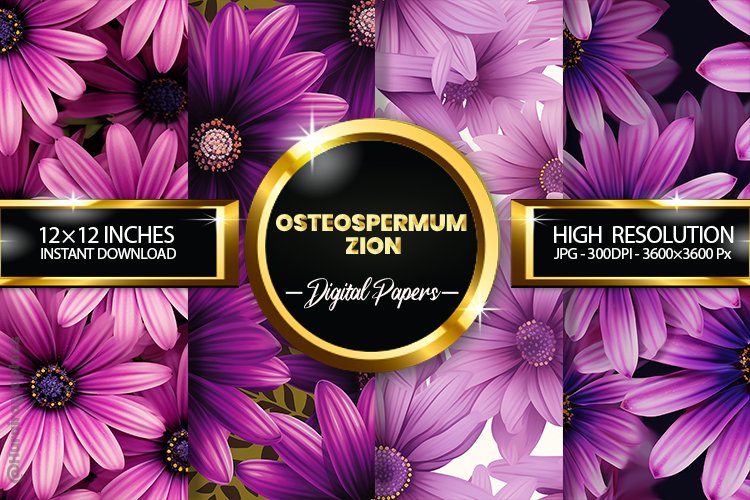 Osteospermum Zion Digital Papers - 04 Variations