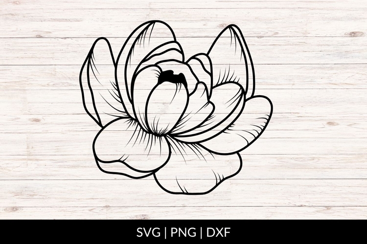 Hand Drawn Peony Flower SVG