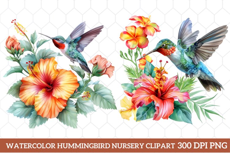 Hummingbird Clipart Image 23