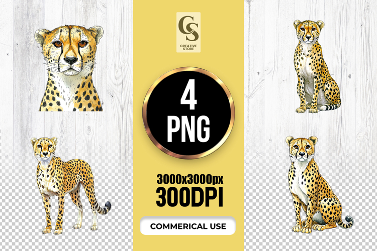 Cheetah Illustration Image 14