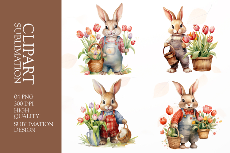 Kawaii Bunny Png Image 18