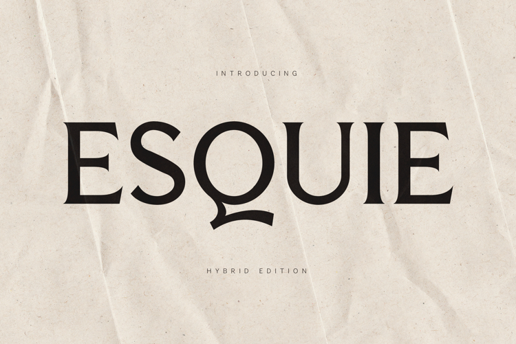 Modern Serif Font Image 9