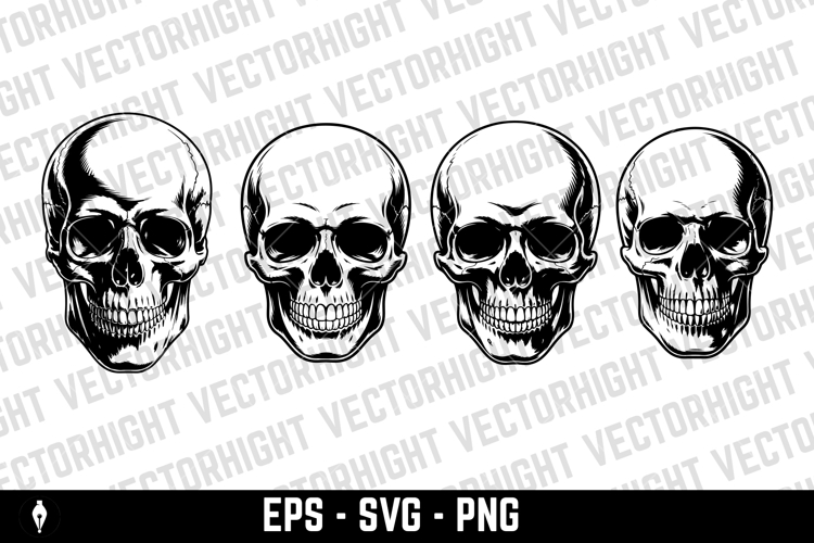 vector illustration of a human skull, viewed straight-on.