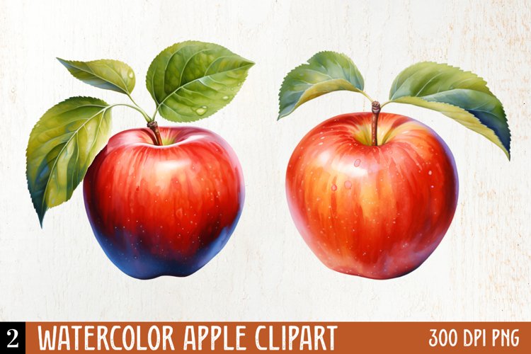 Apple Clipart Image 18