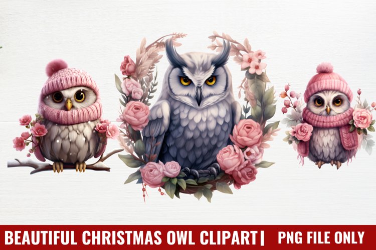 Owl Clipart Image 2