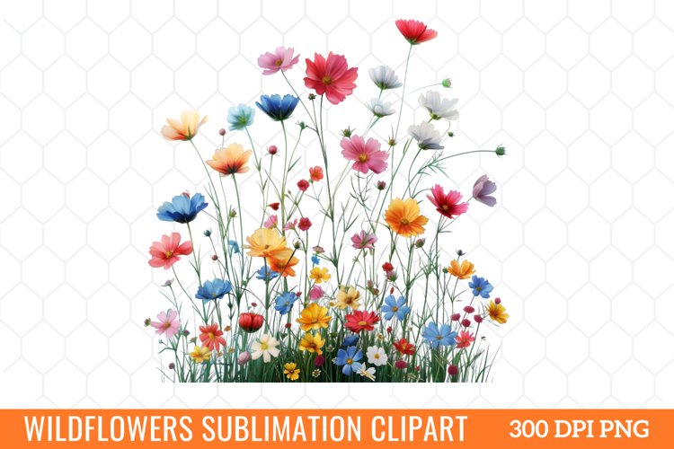 Mouse Clipart Image 23