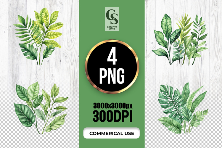 Monstera Illustration Image 15