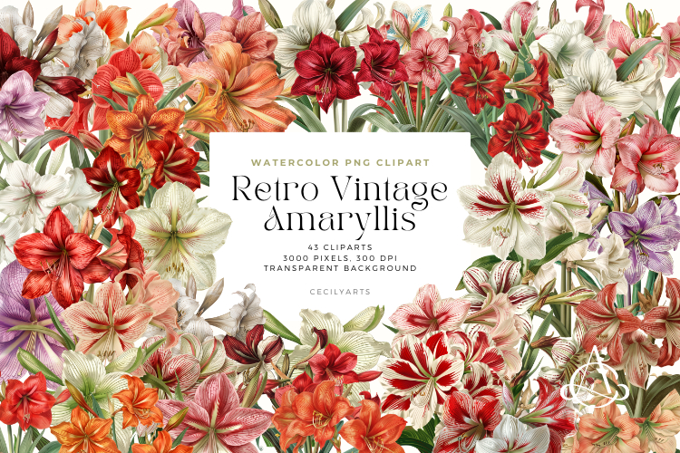 Retro Vintage Amaryllis Clipart