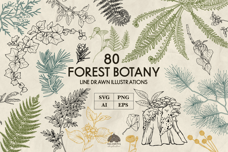 Forest Botany line art collection Svg Png Eps