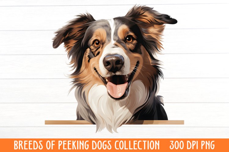 Dogs Png Image 11