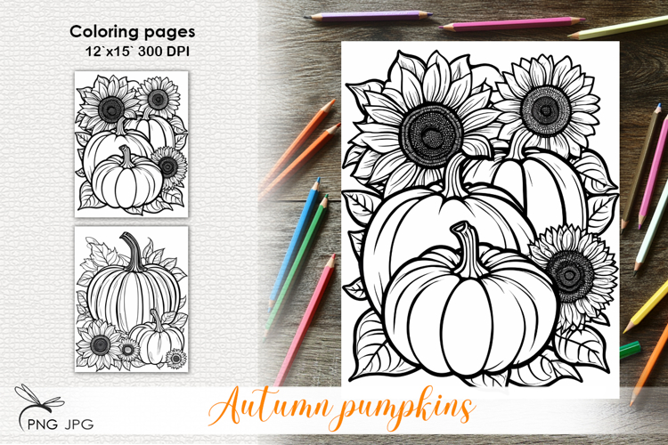 Autumn pupkins|Coloring page