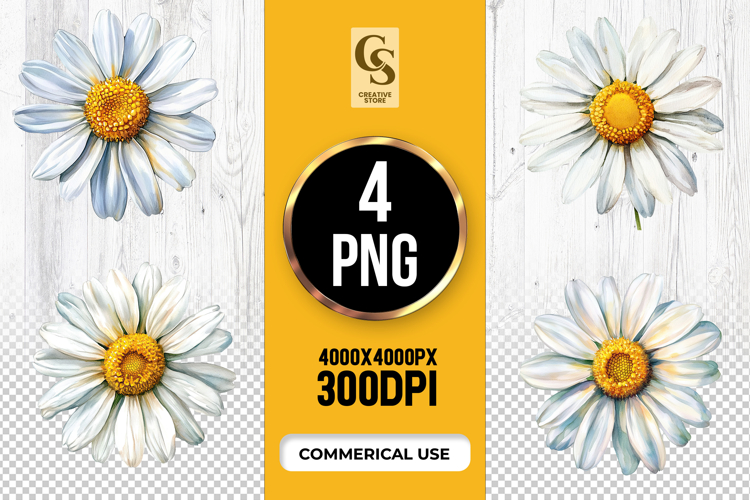 Daisy Flower Clipart Image 6