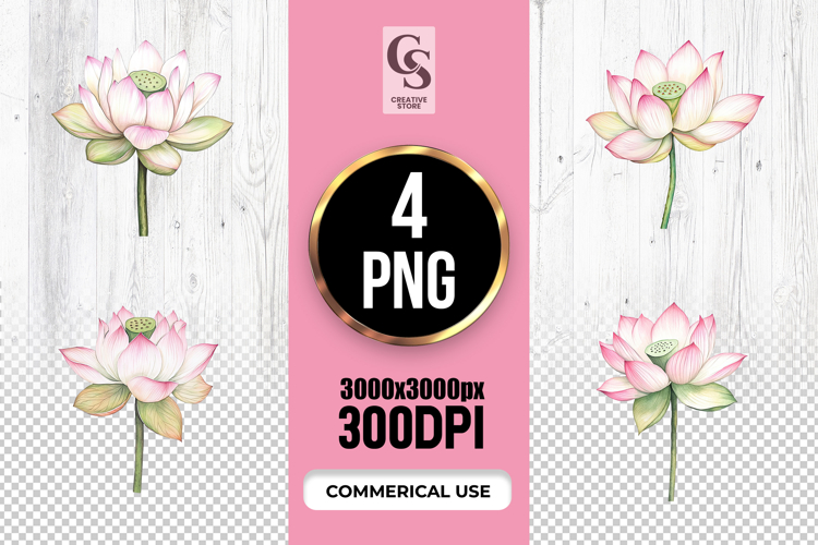 Lotus Flower Png