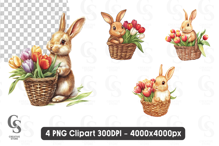 Bunny Png