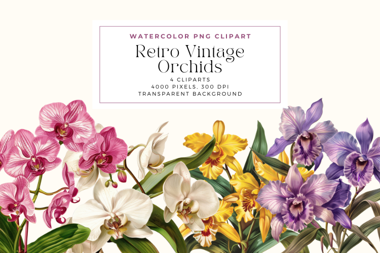 Retro Vintage Orchids Clipart