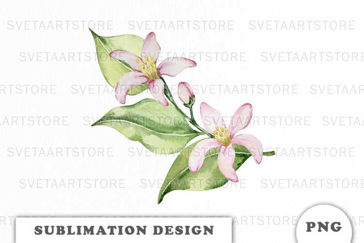 Floral Border Png Image 24