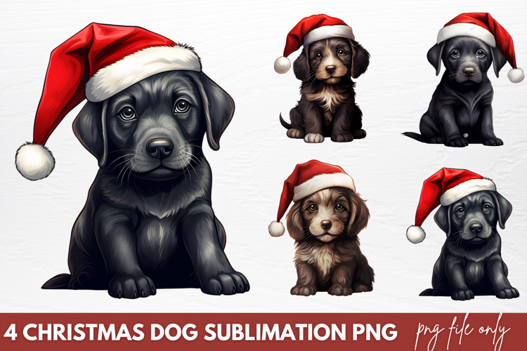 Dogs Png Image 13