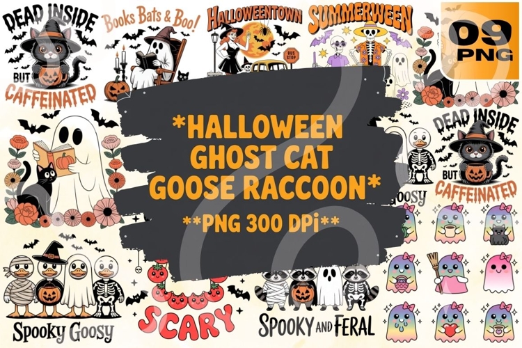 Raccoon Png Image 20