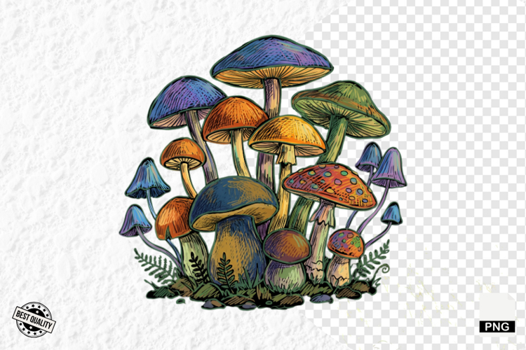 Summer Clipart Image 10