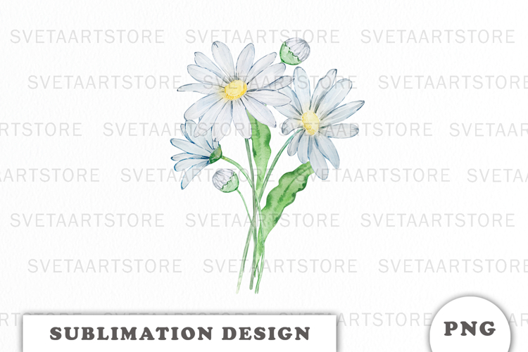 Watercolor Daisy Flowers Bouquet png