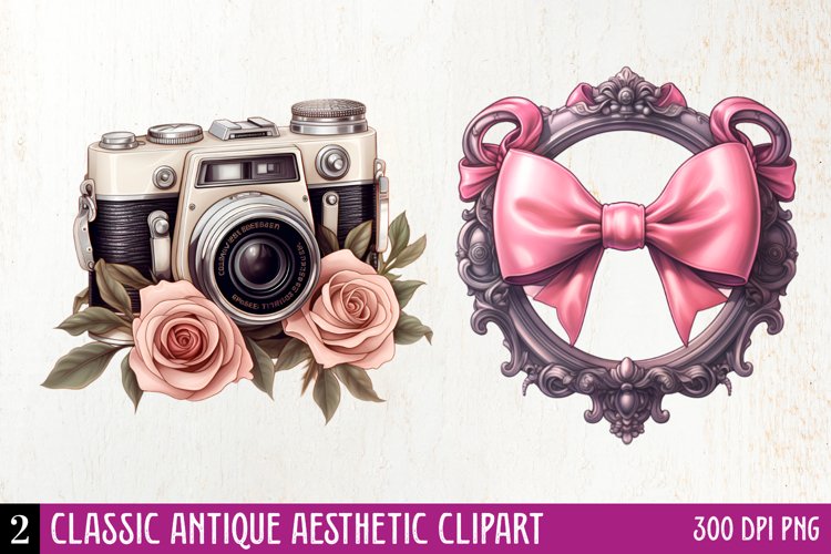Aesthetic Clipart Image 24
