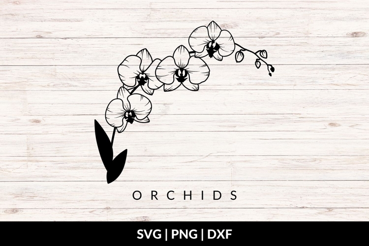 Flower Stem Clipart Image 18