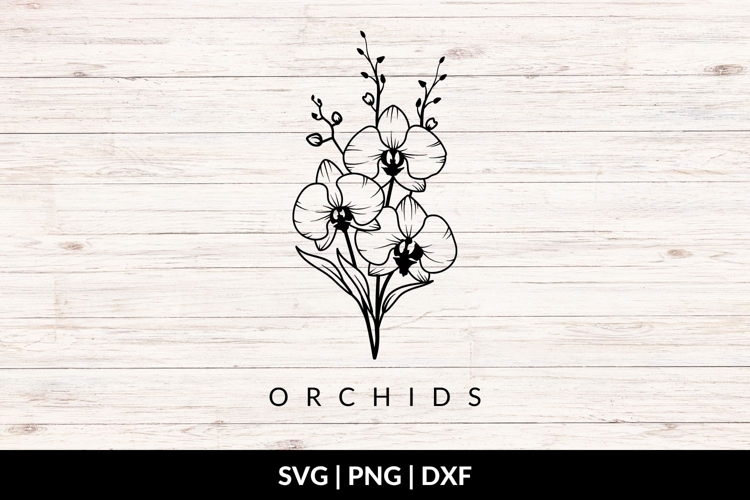 Hand Drawn Orchid Bouquet SVG