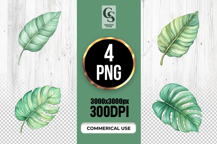 Monstera Leaf Clipart Image 2