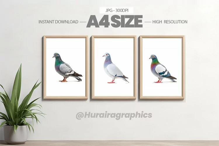 Bird Wall Art - 03 Variations