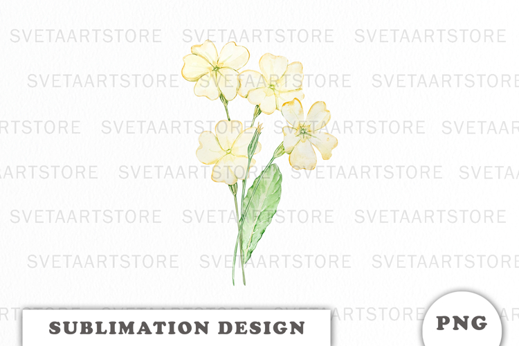 Watercolor Primrose Flowers Bouquet png