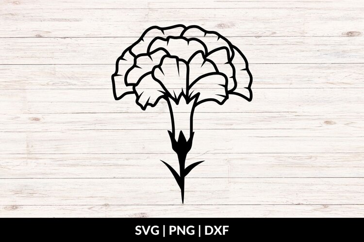 Carnation Flower SVG, PNG, DXF example image 1