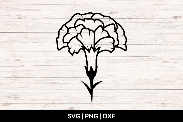 Carnation Flower SVG, PNG, DXF