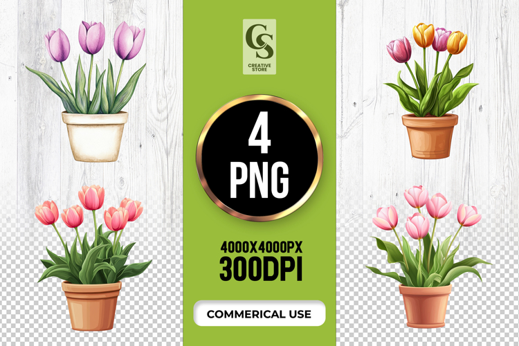 Tulip Illustration Image 4