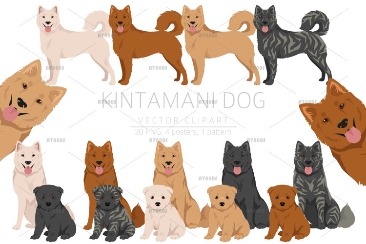 Kintamani Bali dog clipart example image 1