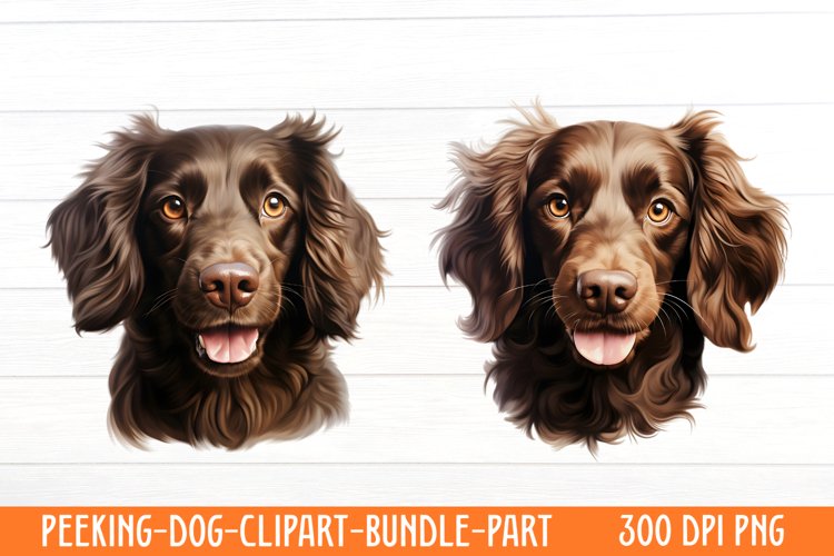 Watercolor Clipart Image 15