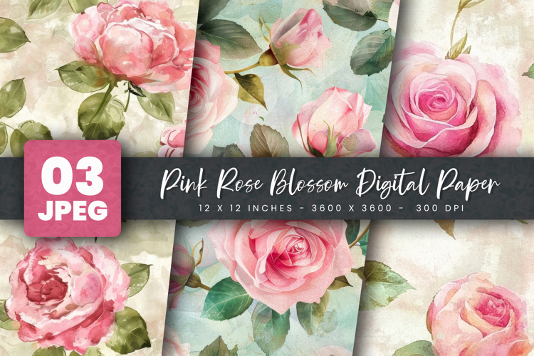 Pink Rose Clipart Image 2