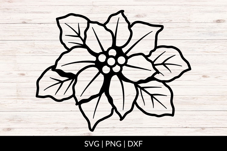 Hand Drawn Poinsettia SVG