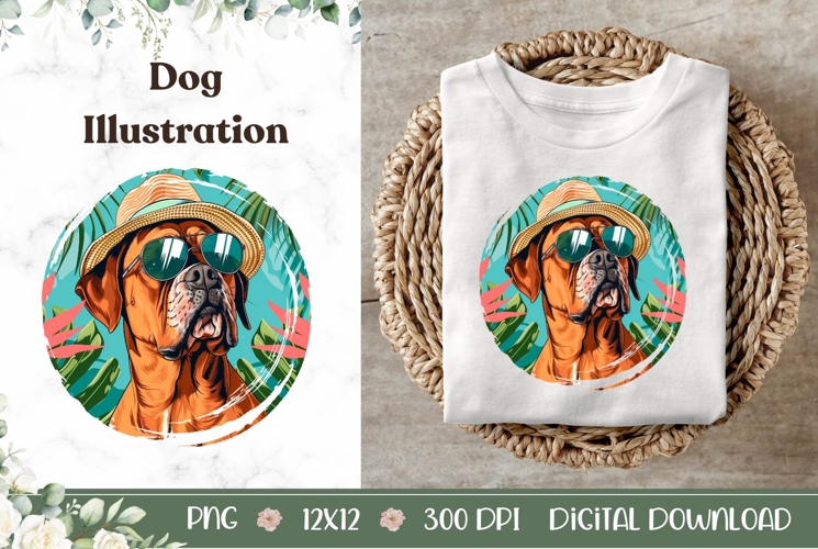 Summer Boxer Dog Illustration, Cartoon Boxer Dog PNG