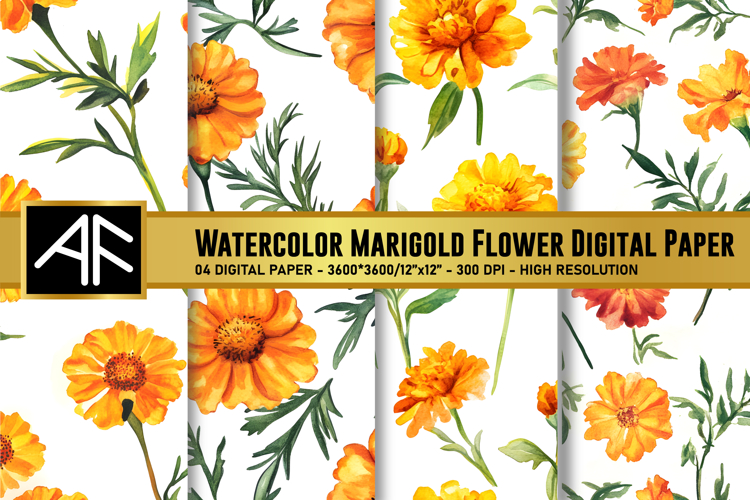 Marigold Clipart Image 8