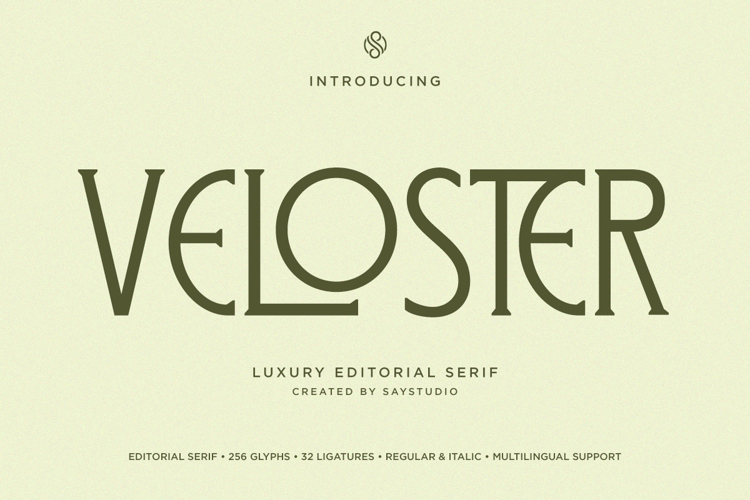 Veloster - Logo Serif Branding Font example image 1