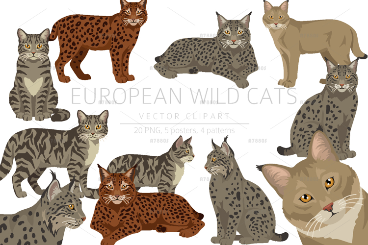 Pet Clipart Image 6