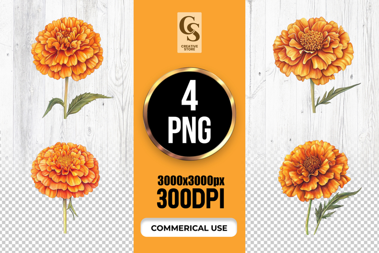 Flower Clipart Png