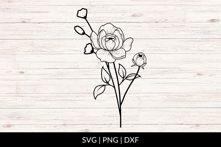Hand Drawn Peonies Bouquet SVG