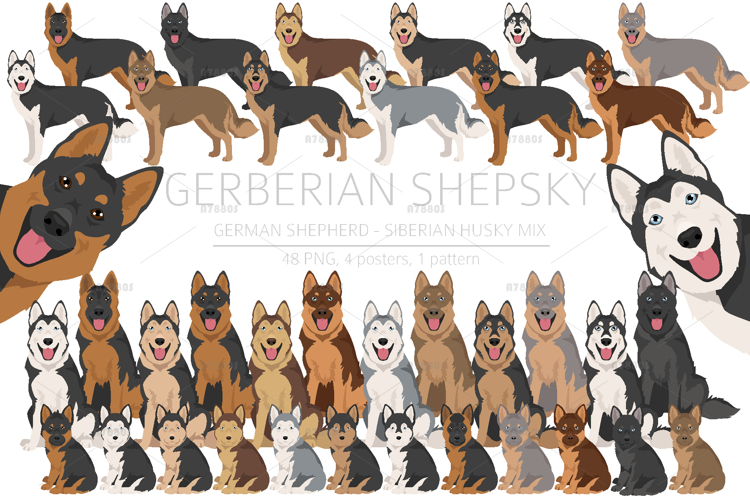 German Shepherd Clipart Image 6