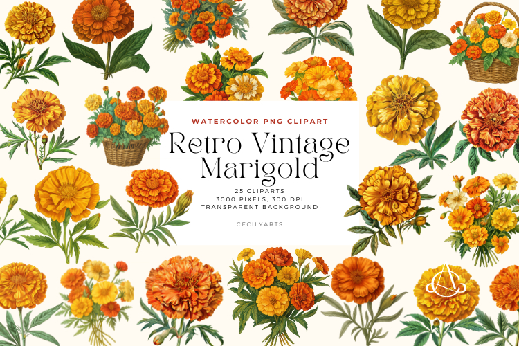 Watercolor Retro Vintage Marigold Cliparts Bundle