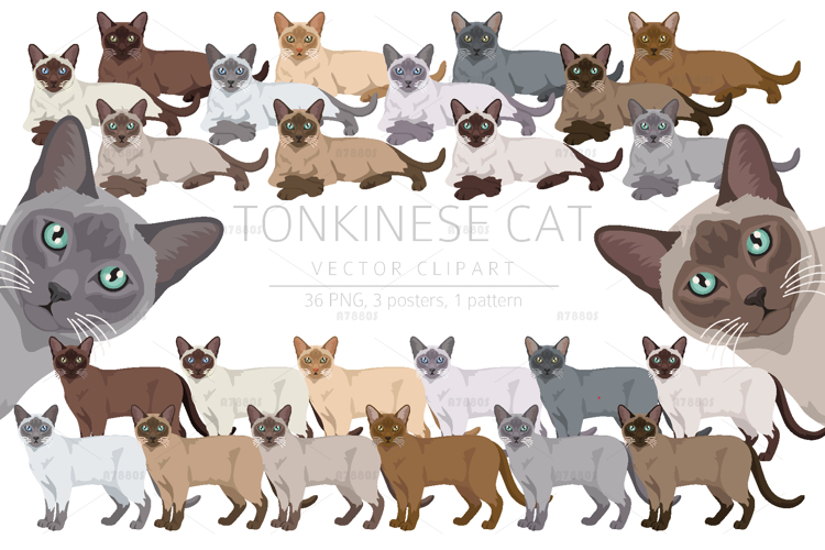 Shop Clipart Image 14