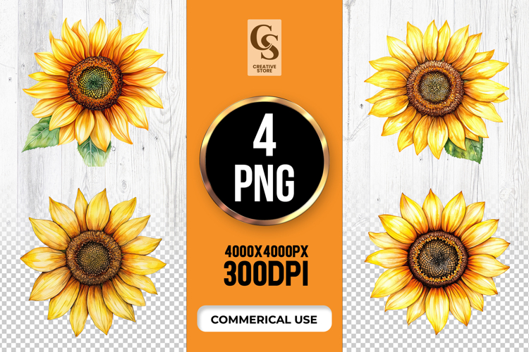 Bright Sunflower Floral Clipart PNG
